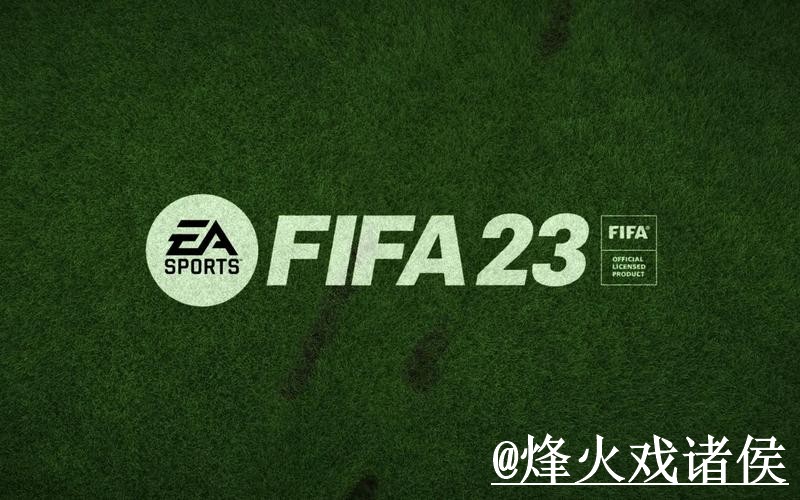 美加墨世界杯苹果版入门指南，登录异常与下载异常说明